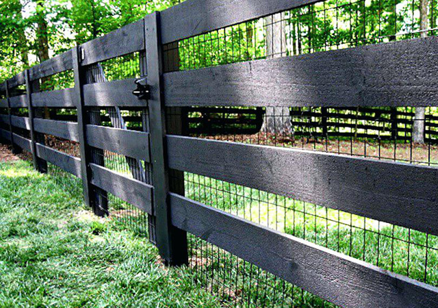 10 Beautiful And Cheap Garden Fence Ideas For Privacy Green Gold Landscaping