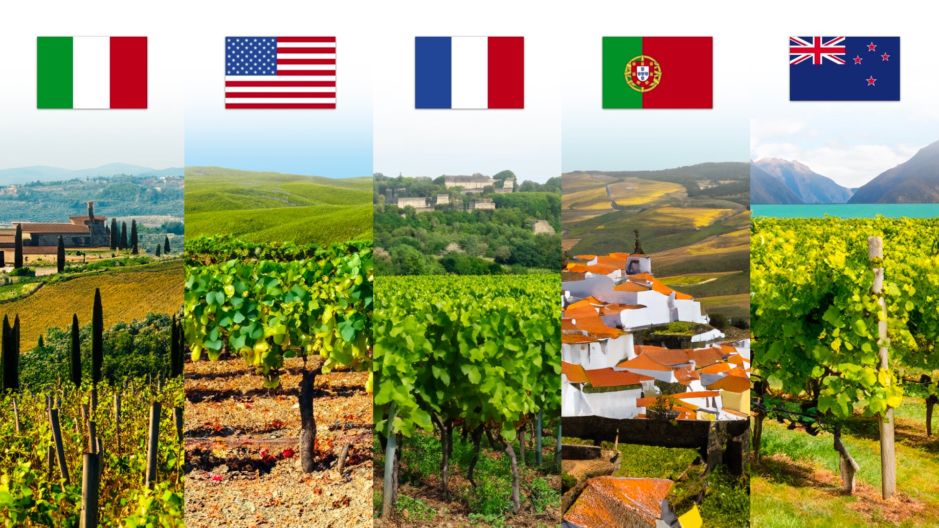 10 Must Visit Wine Regions For Wine Enthusiasts