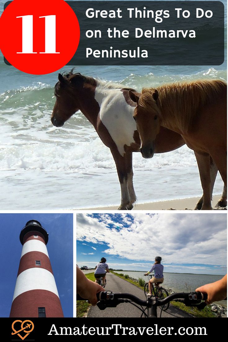 11 Great Things To Do On The Delmarva Peninsula Travel Virginia