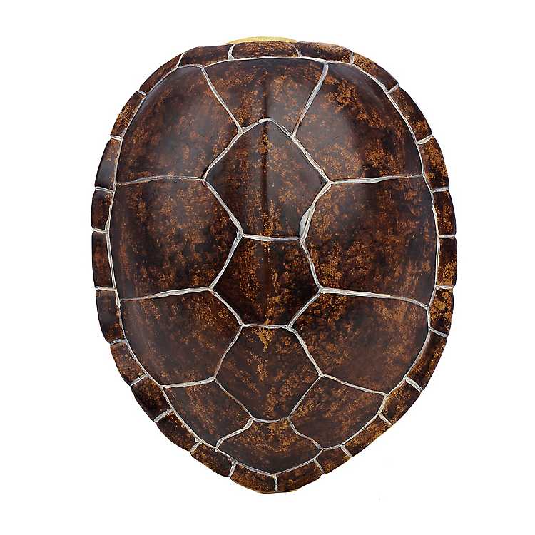 13 Weathered Turtle Shell Decor Umber Shell Decor Turtle Shell Turtle