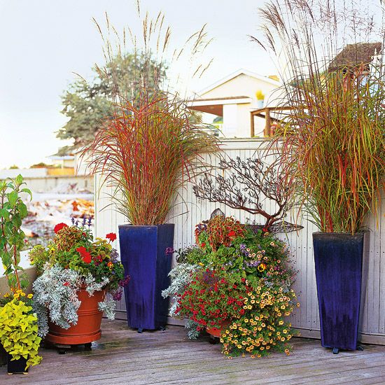 15 Beautiful Ways To Use Ornamental Grasses In Your Landscape