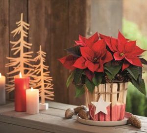 19 Amazing Christmas Home Decor Ideas Style Motivation