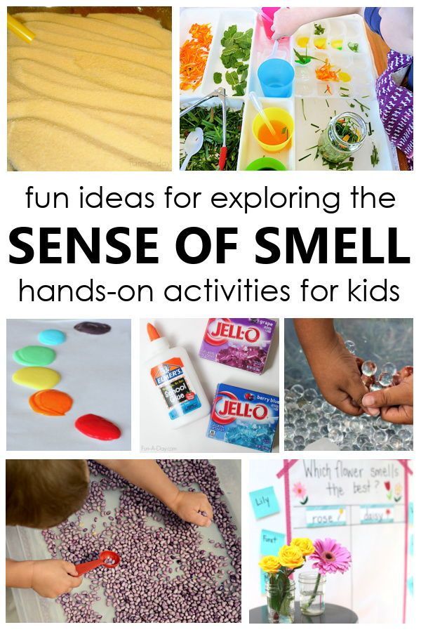 20 Fun Ideas For Exploring The Sense Of Smell