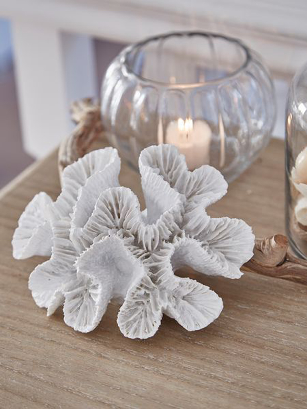 25 Beautiful Sea Coral Decor Like A Holiday She Sells Seashells