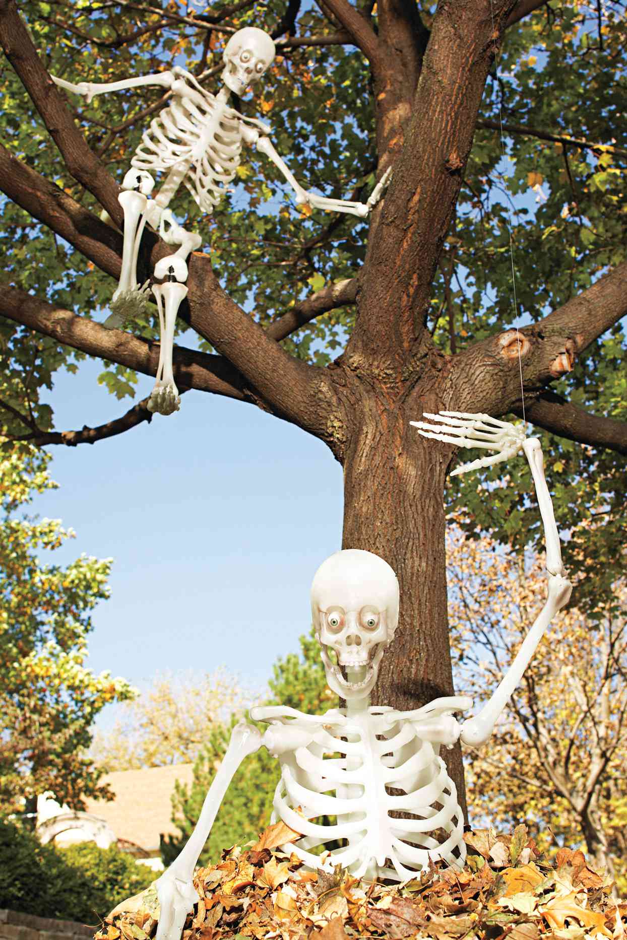 30 Way To Outdoor Halloween Decor With Skulls And Skeletons