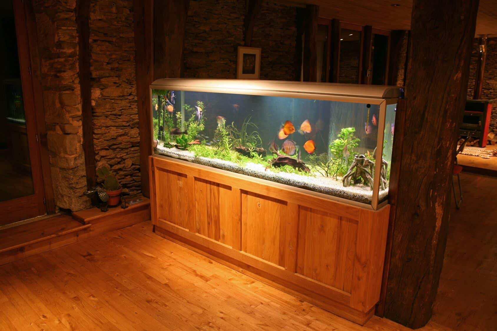 60 Best Pictures 75 Gallon Aquarium Decorations Photo 1 75 Gallon