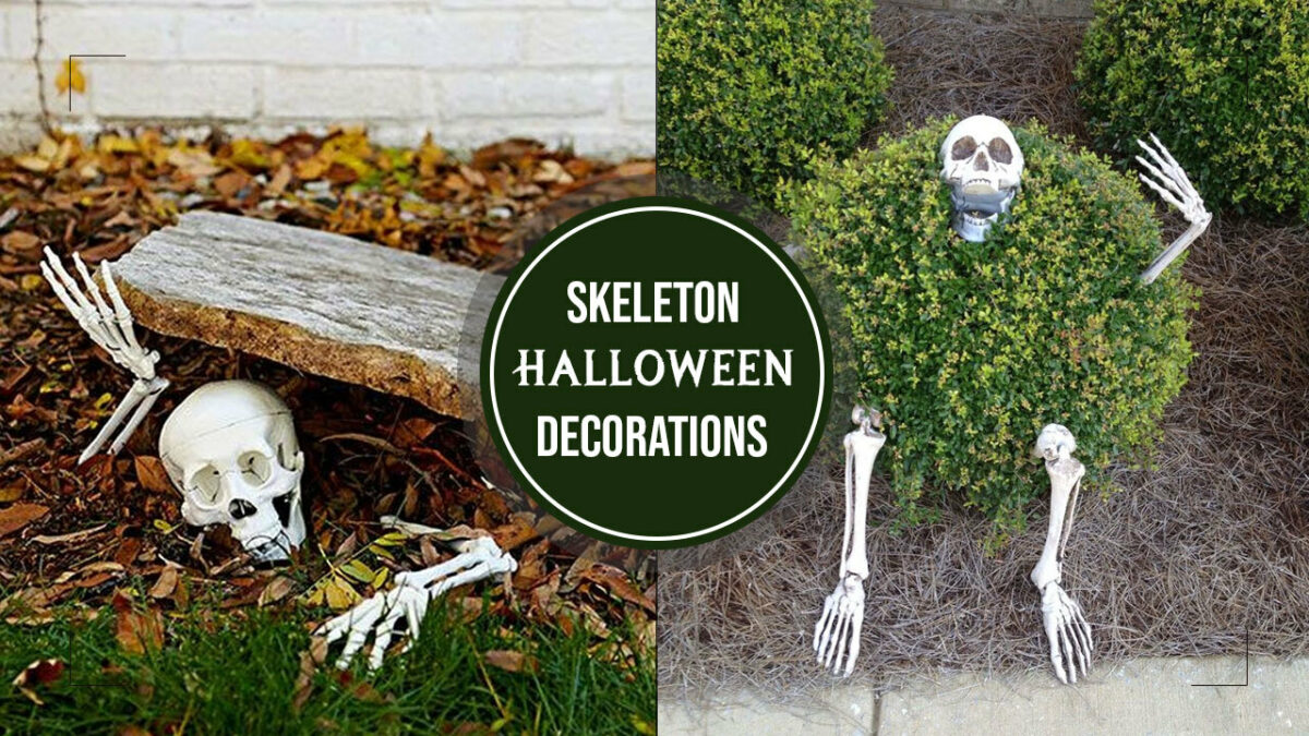 60 Skeleton Halloween Decoration Ideas For Outdoors