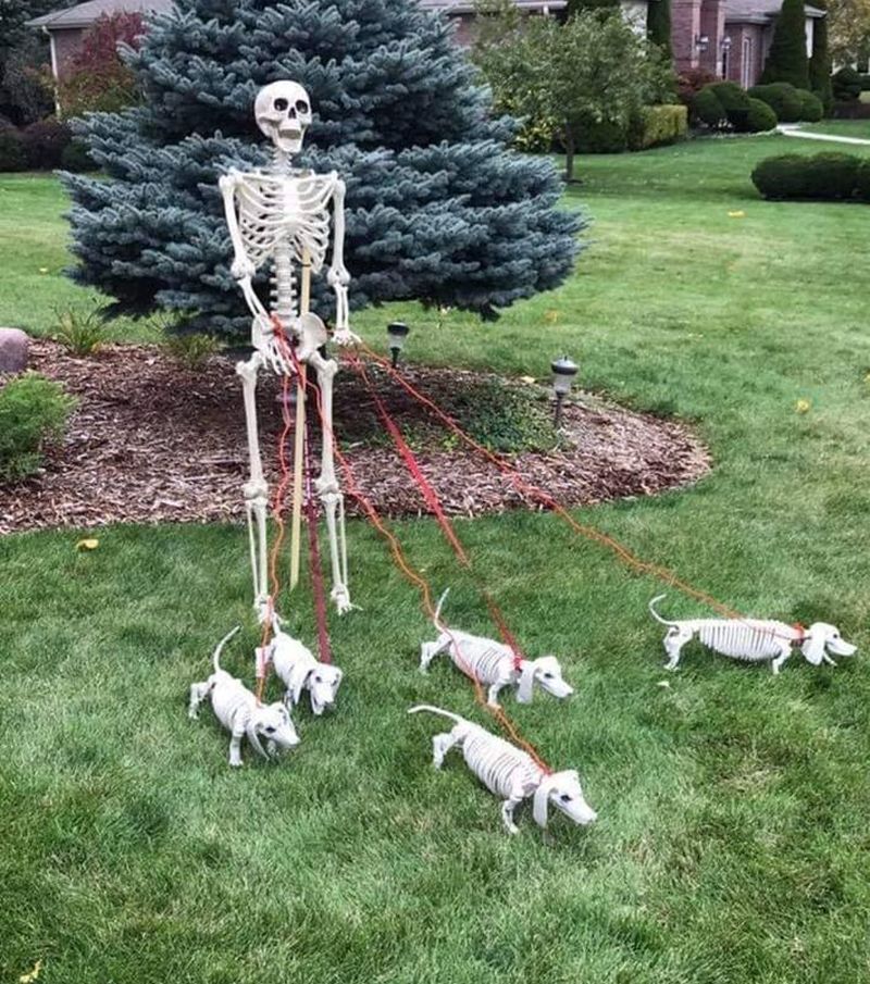 70 Skeleton Halloween Decoration Ideas For Outdoors