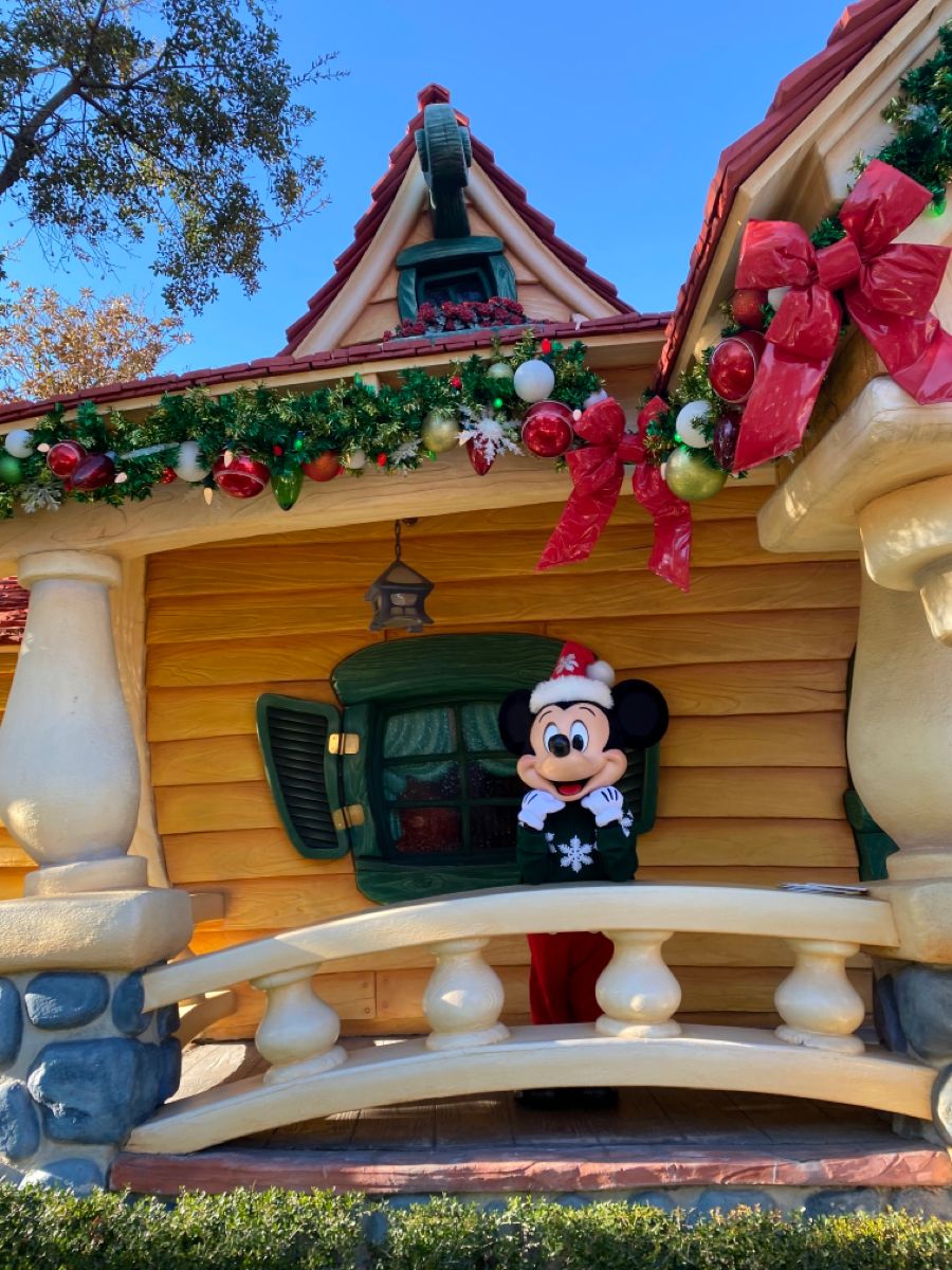 A Disney World Christmas Vacation 5 Must Do S