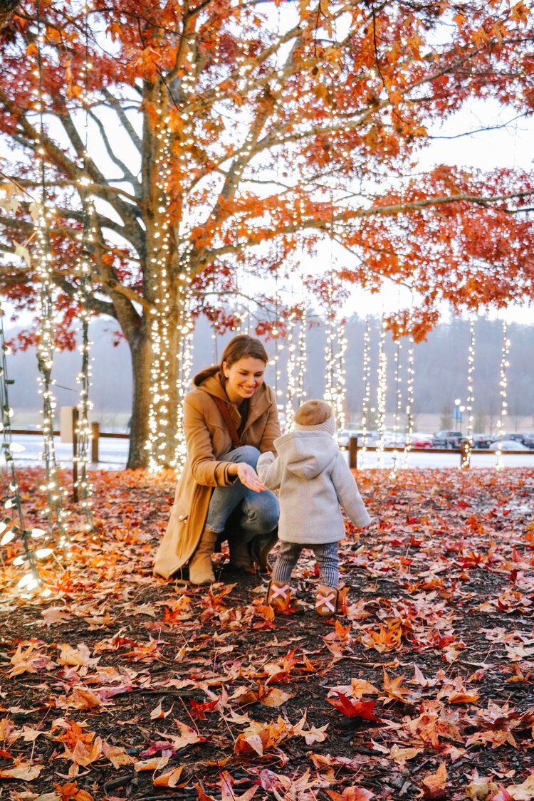 A Magical Christmas Destination Biltmore Estate By Courtney Brown