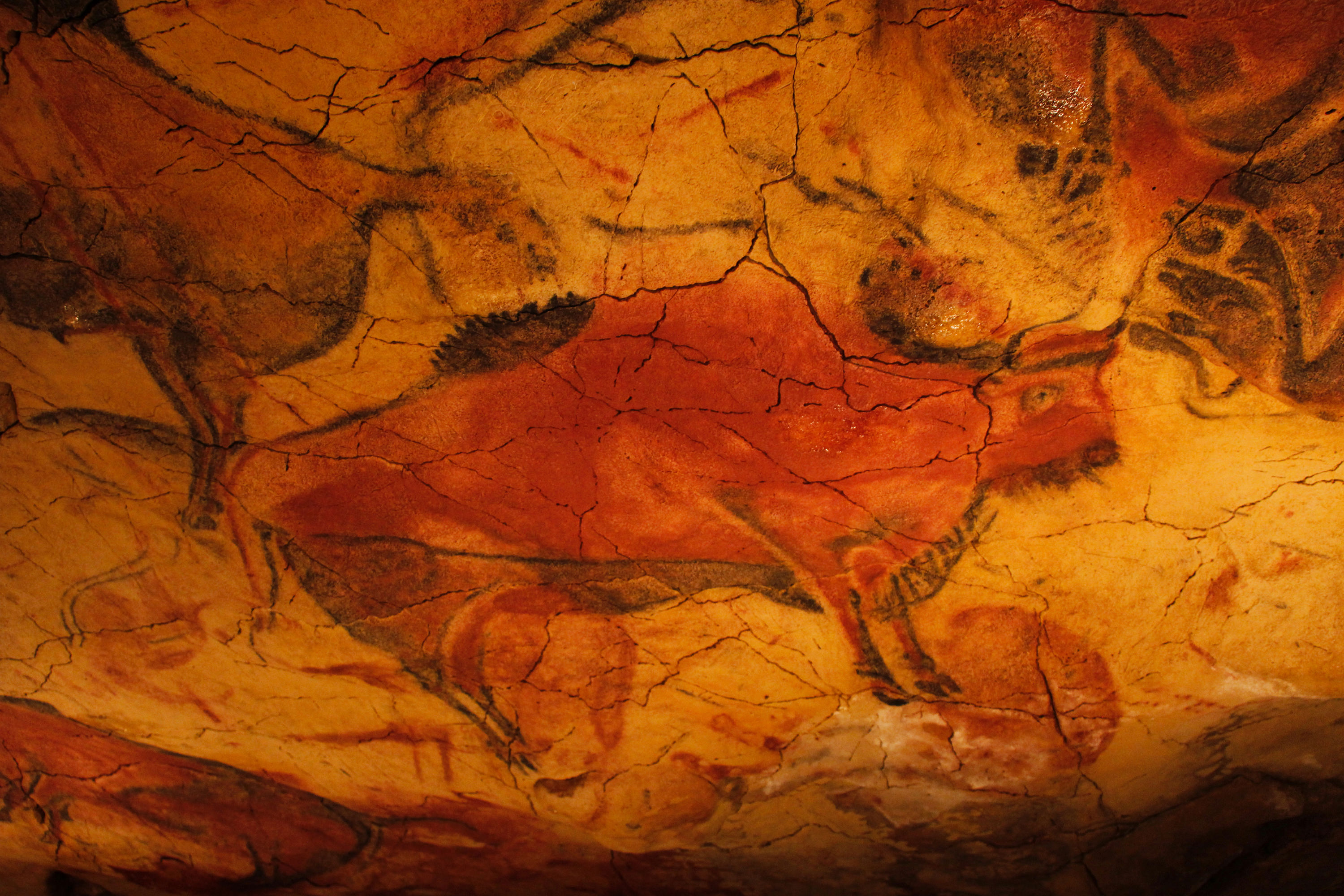 Altamira Cave Paintings Cave Paintings Prehistoric Art Painting