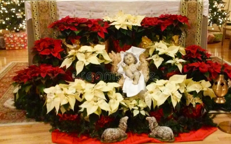 Altar Decorated With Baby Jesus And Poinsettias For Christmas Epiphany