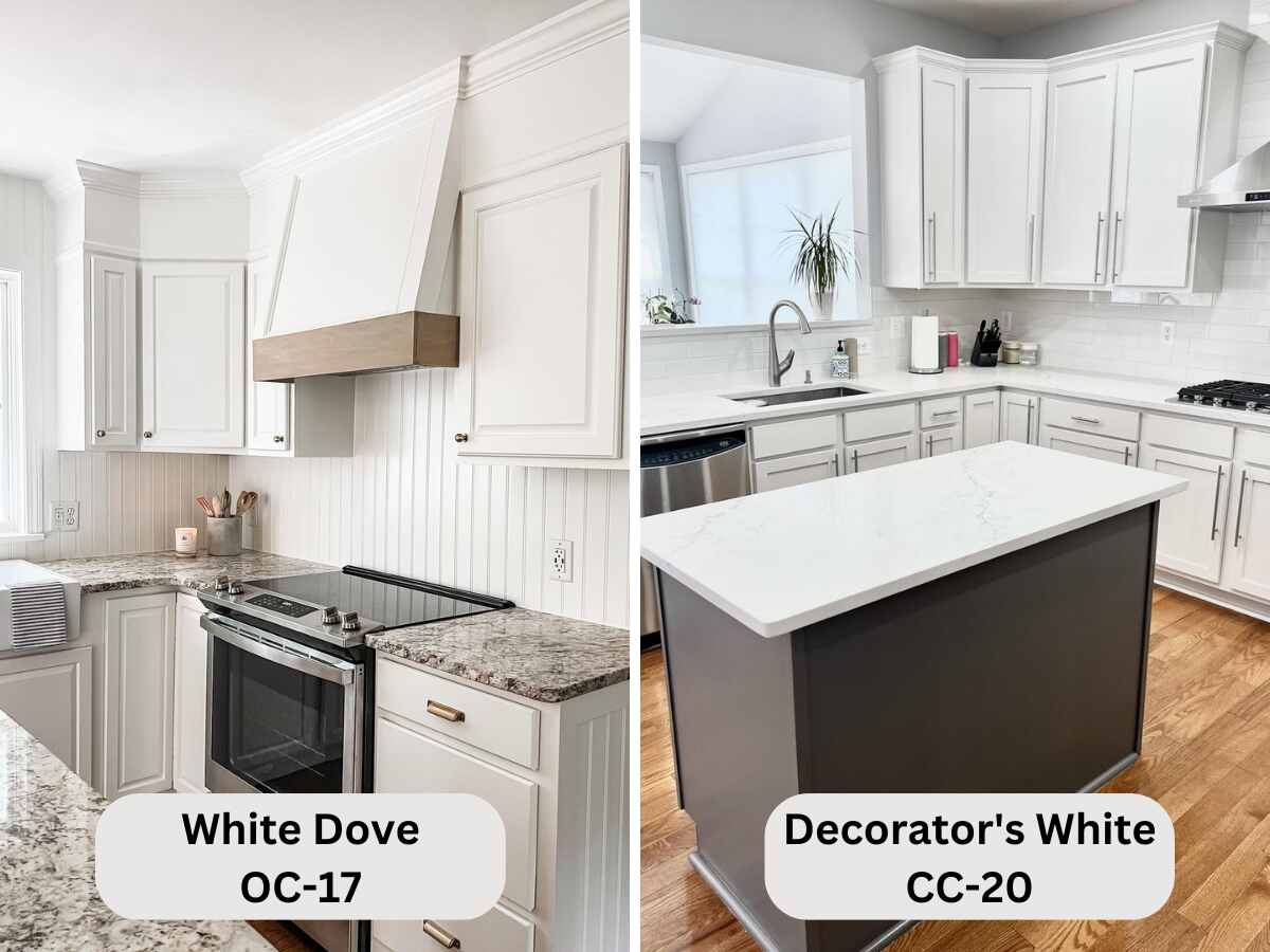 Amp Quot White Dove Vs Decorator Amp 39 S White Unveiling The Perfect Shade For Your Space Amp Quot