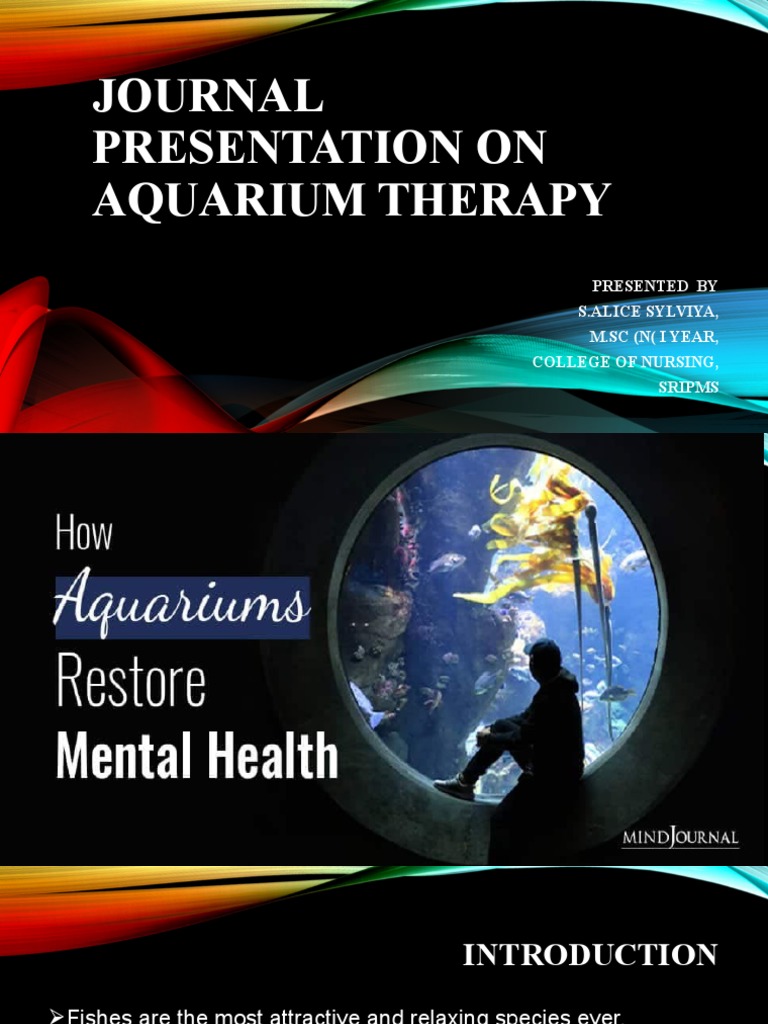 Aquarium Therapy Stress And Anxiety Relief With Fish Tanks Bechewy