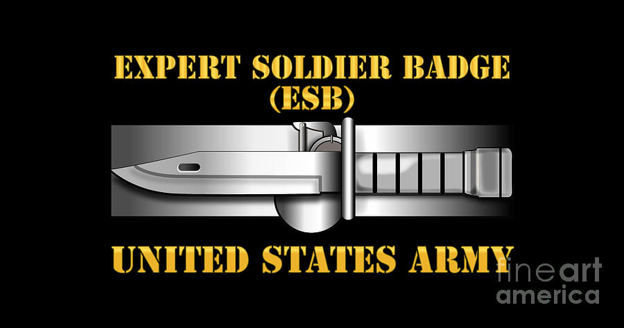 Army Expert Soldier Badge Digital Art By Tom Adkins Fine Art America