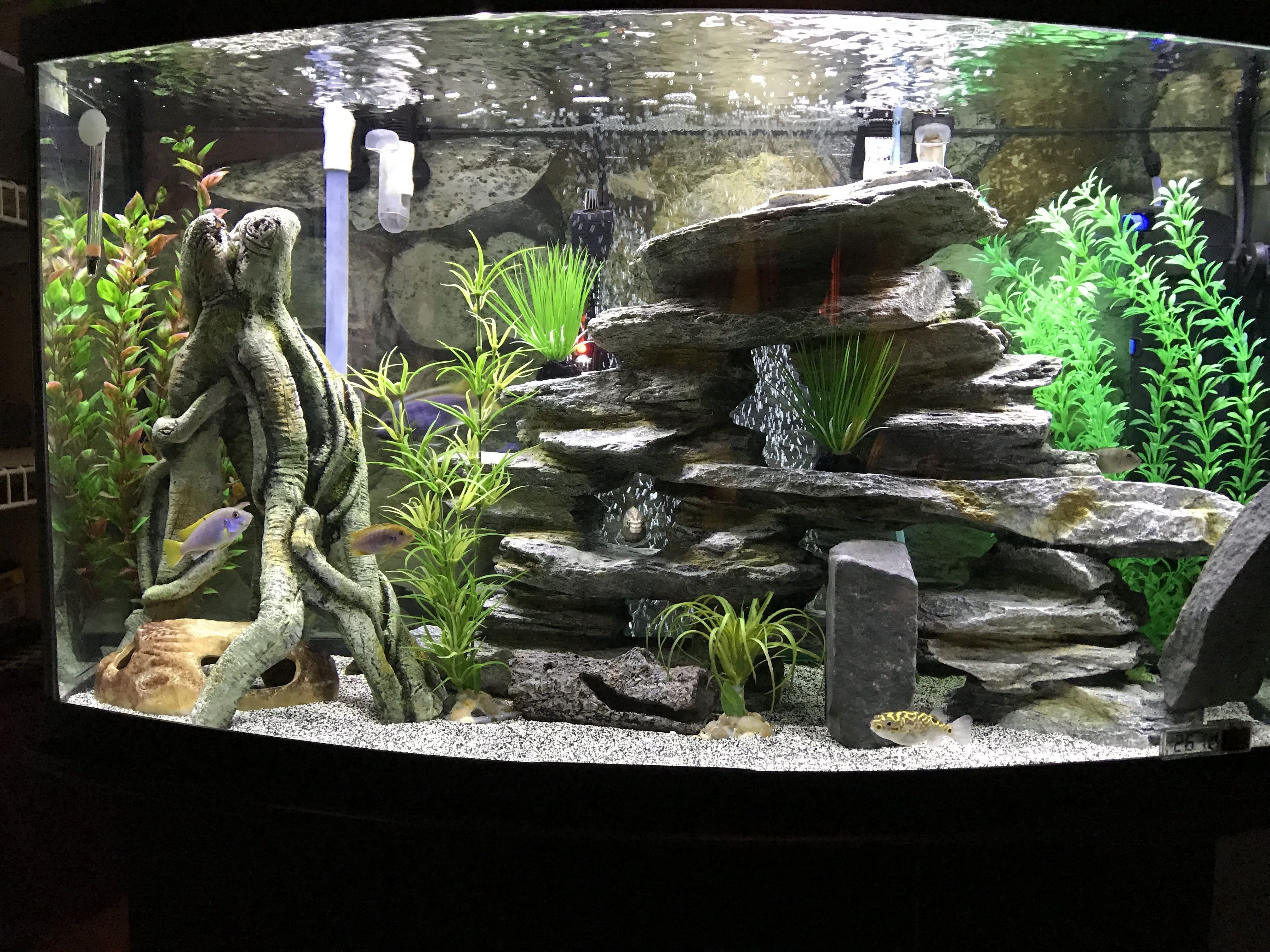 Best Fish Tank Decorations The Visualization Of Fish Tank Decor