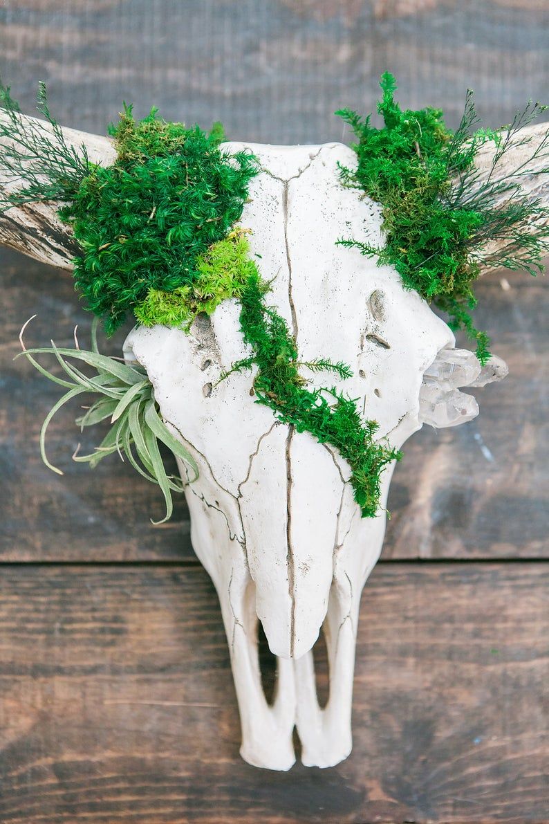 Bone And Moss Art Oddities Decor Skull Crafts Skull Decor