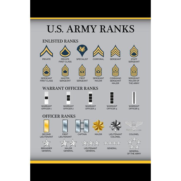 Buy United States Army Rank Chart Reference Enlisted Officer Nco Guide American Uniform Support