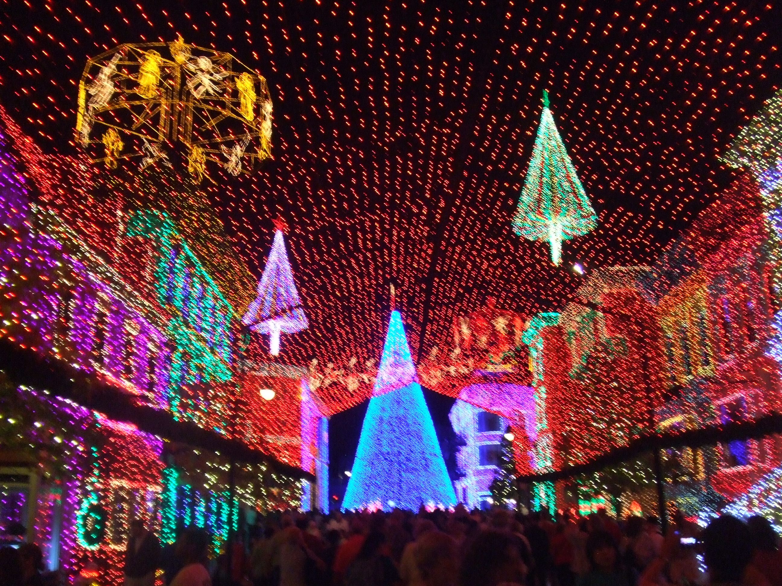 Christmas Lights Up Hollywood Studios Mickeyblog Com