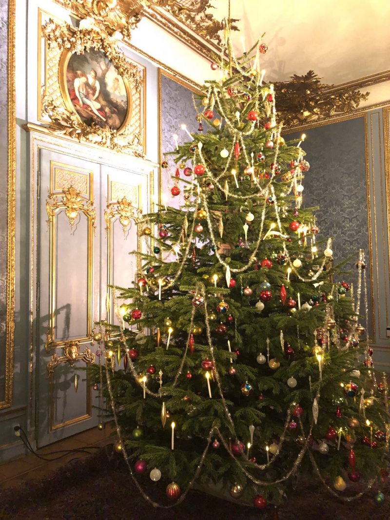 Christmas Tree Origin And History Star Of Nature