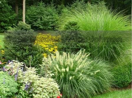 Cut Ornamental Grasses Do Not Forget