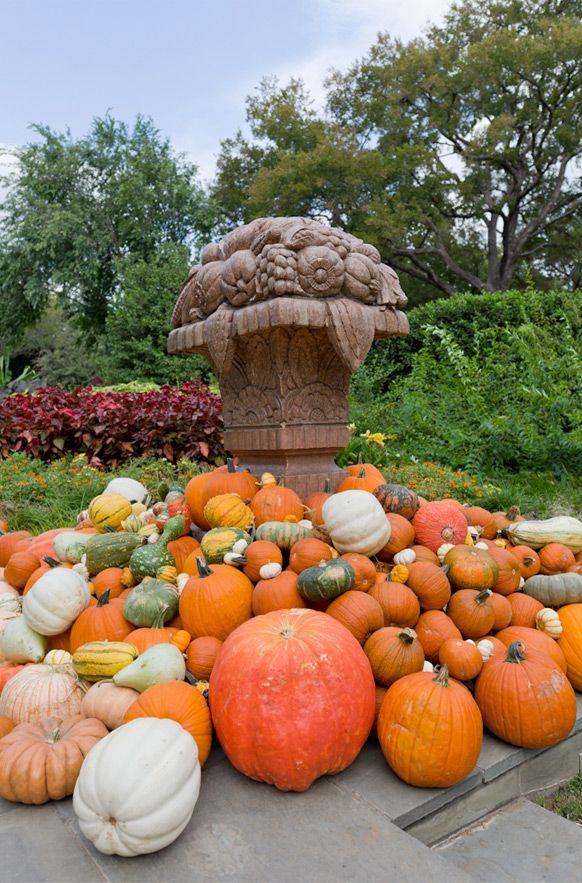 Dallas Arboretum Autumn At The Arboretum Fall Garden Pumpkins Garden Features Water