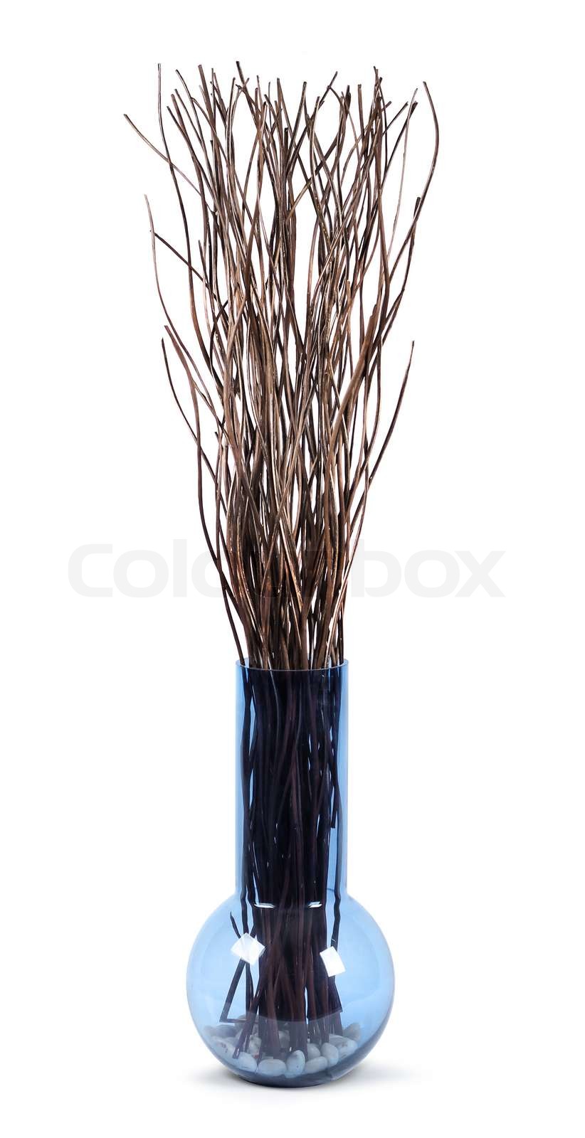 Decorative Twigs In Modern Glass Vase Isolated On White Stock Photo Colourbox Modern Glass