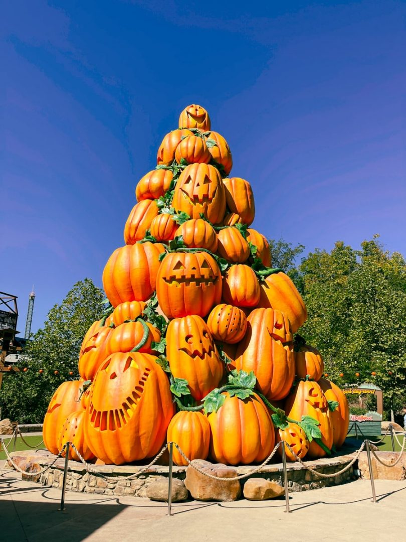 Dollywood Harvest Festival What To Do Eat And See