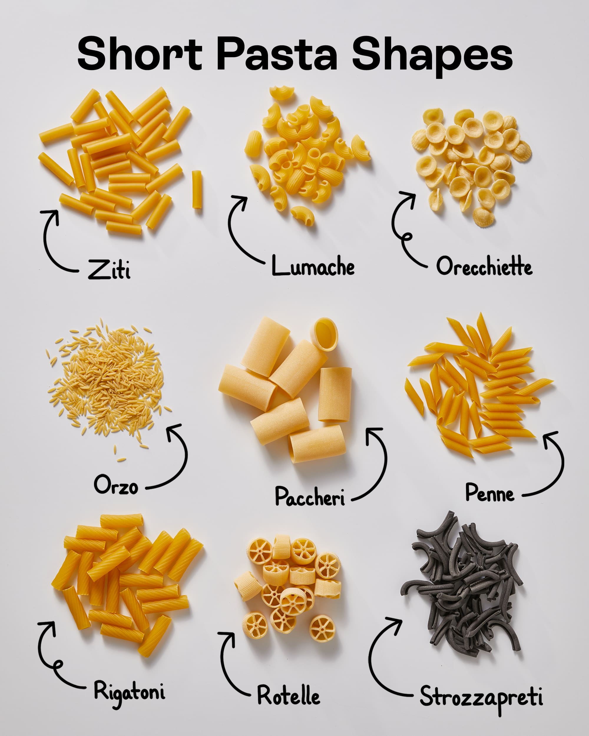 Esitell 53 Imagen Pasta Shapes Guide Abzlocal Fi