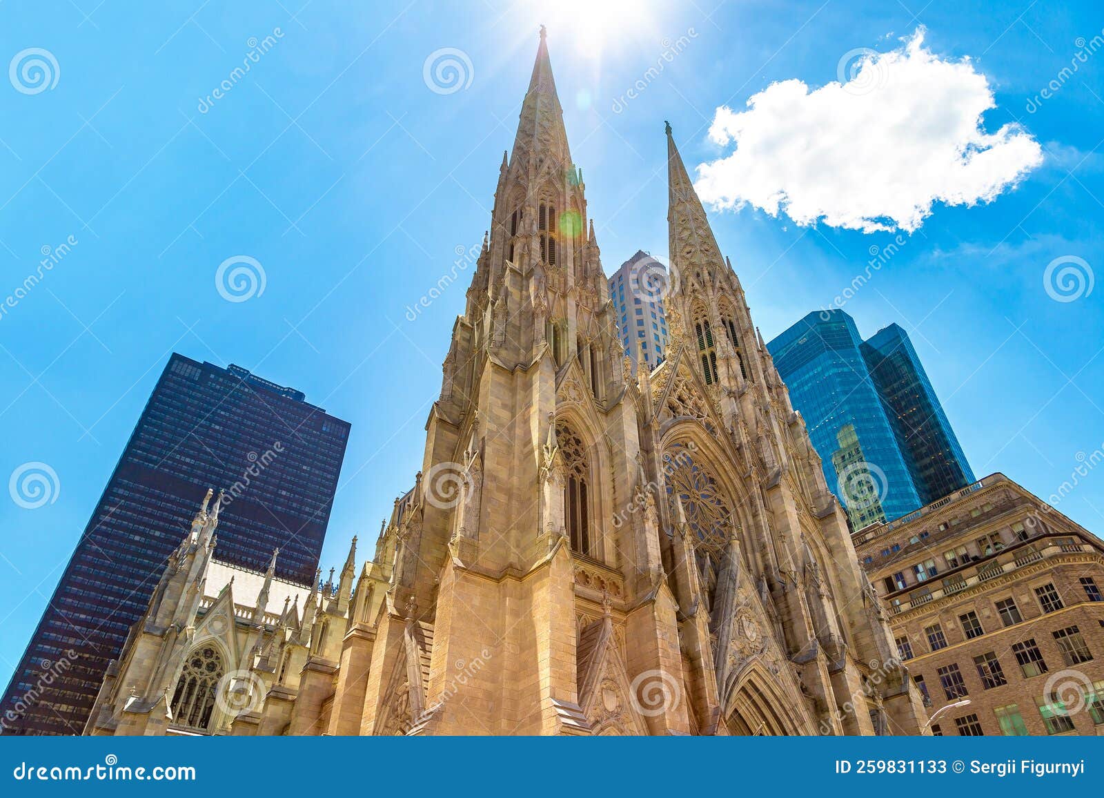 Everything You Didn T Know About St Patrick S Cathedral New York City