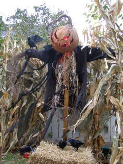 Fall Decor Outdoor Scarecrow Halloween Et Halloween Novembre