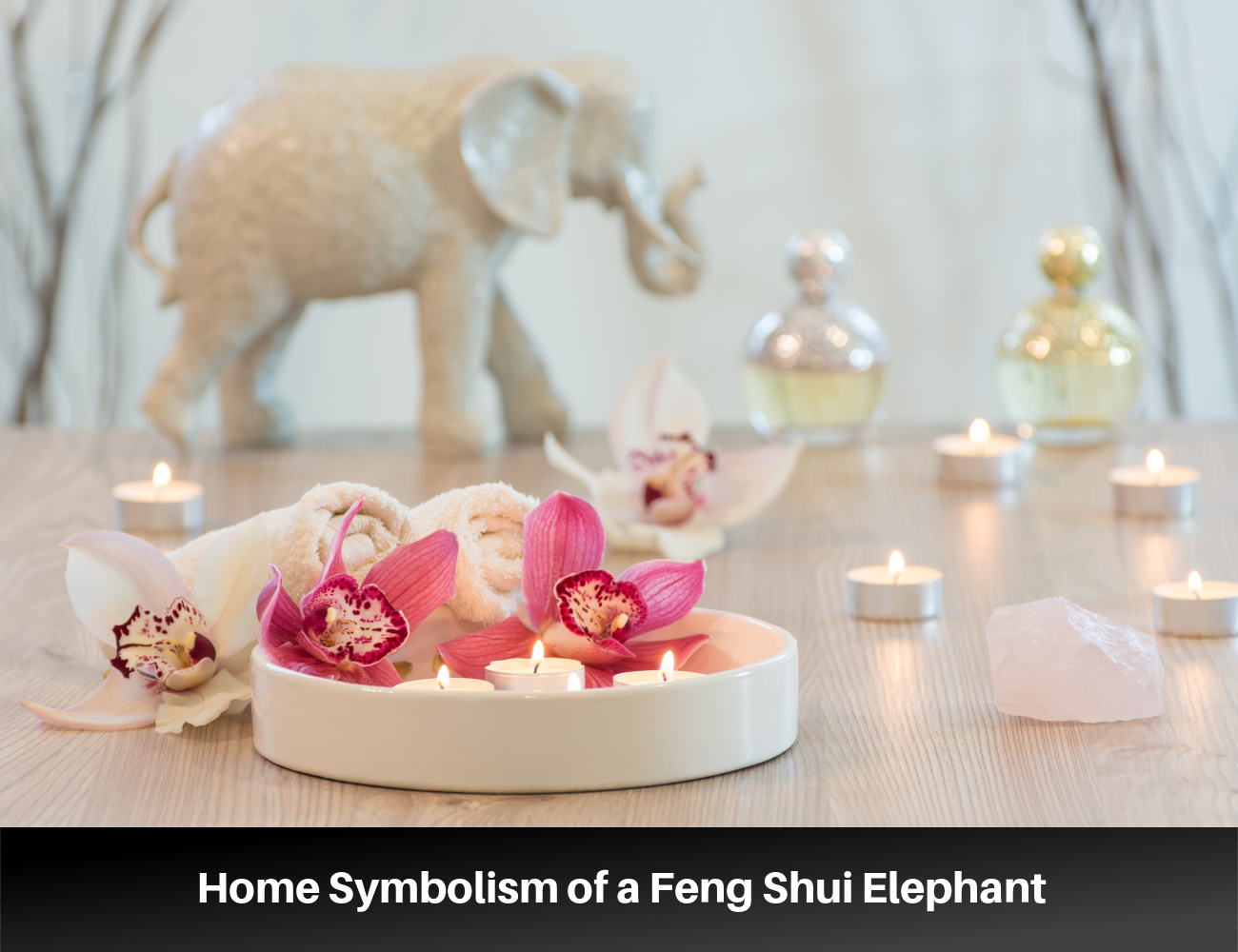 Feng Shui Guides Tips Feng Shui Elephant Feng Shui Symbols Feng Shui