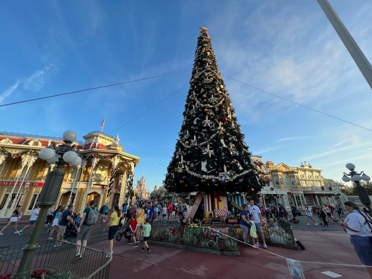 Giant Christmas Tree And More Dec R Arrives At Magic Kingdom Wdw News