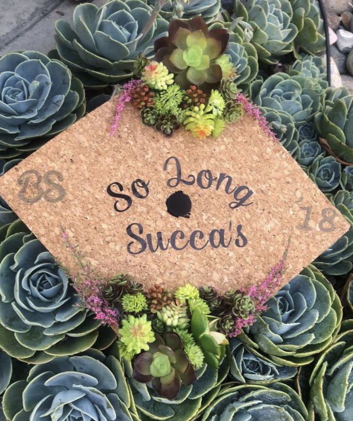 Graduation Cap Idea High School Graduation Cap Decoration College