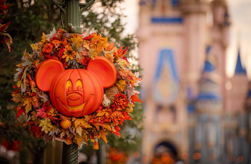 Guide To Halloween 2025 At Disney World Disney Tourist Blog