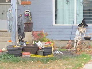 Halloween Decorations Killing It Town Of Kindersley