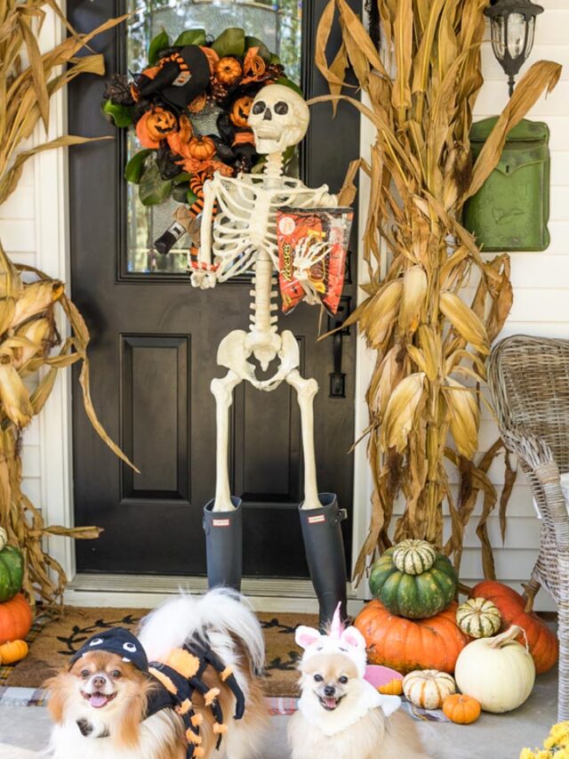 Halloween Hobby Lobby Halloween Decor Ations For A Spooky And Fun Home