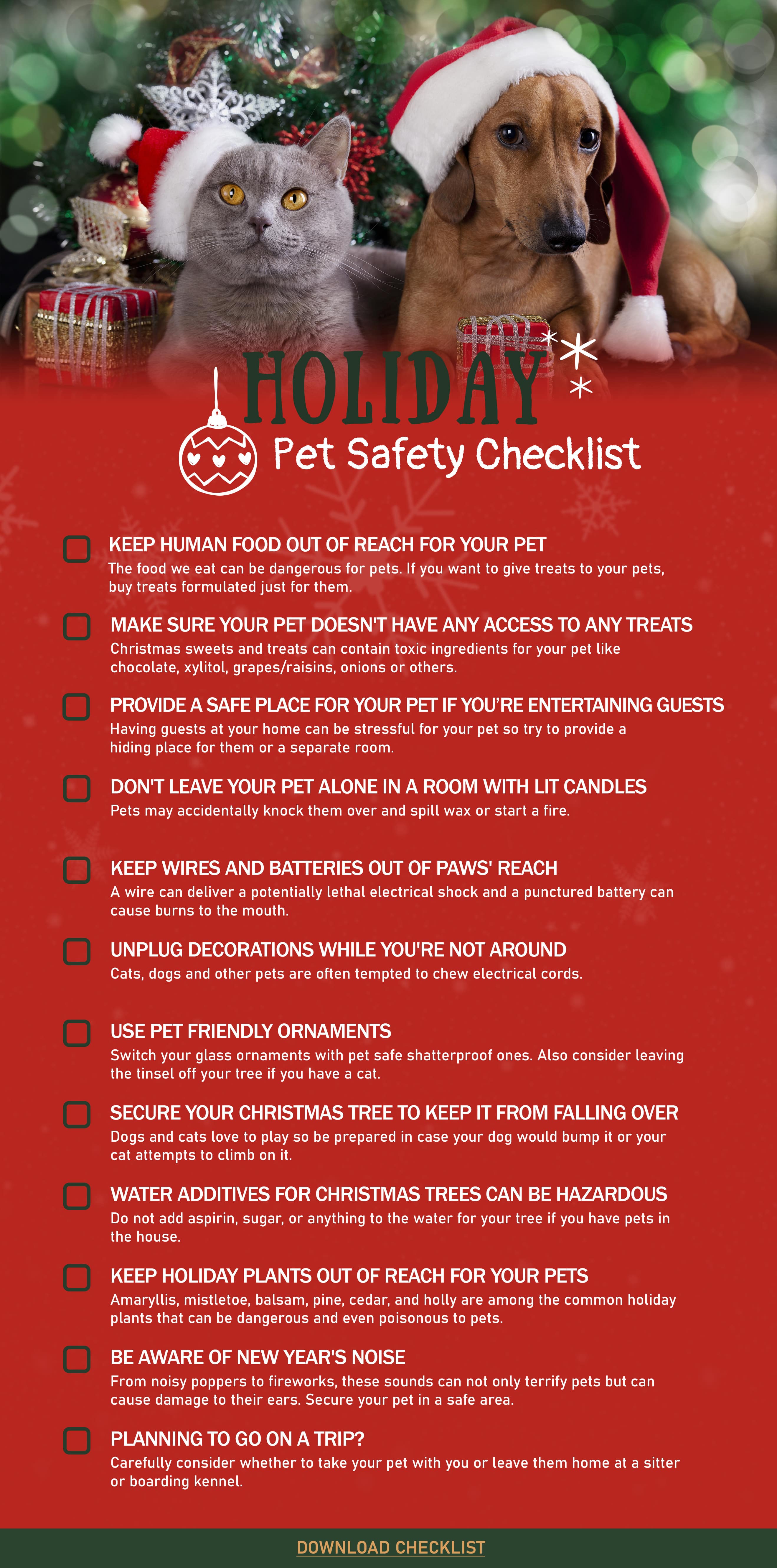 Holiday Pet Safety Christmas Decor To Ditch Bechewy