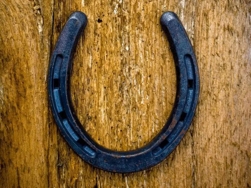 Horseshoes And Luck Separating Fact From Folklore