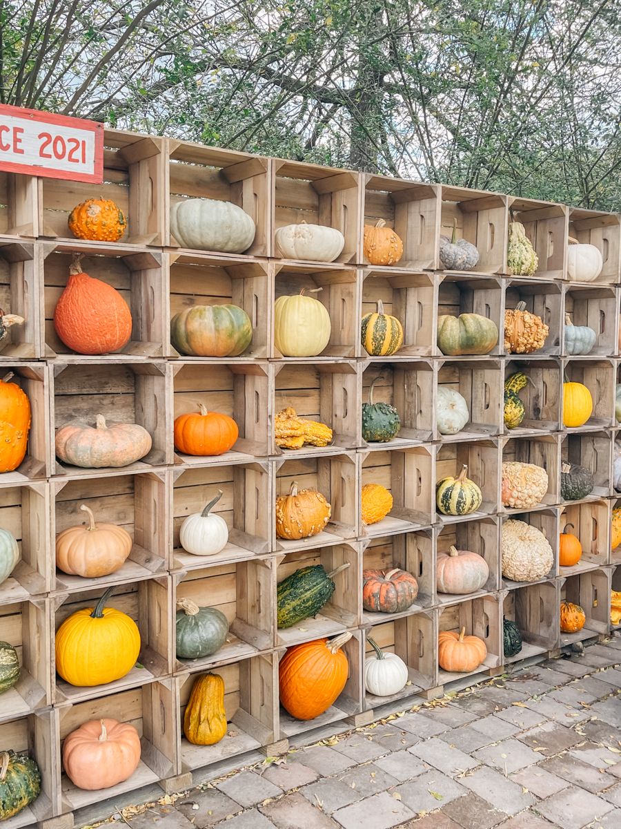 How To Decorate With Pumpkins For Fall Artofit