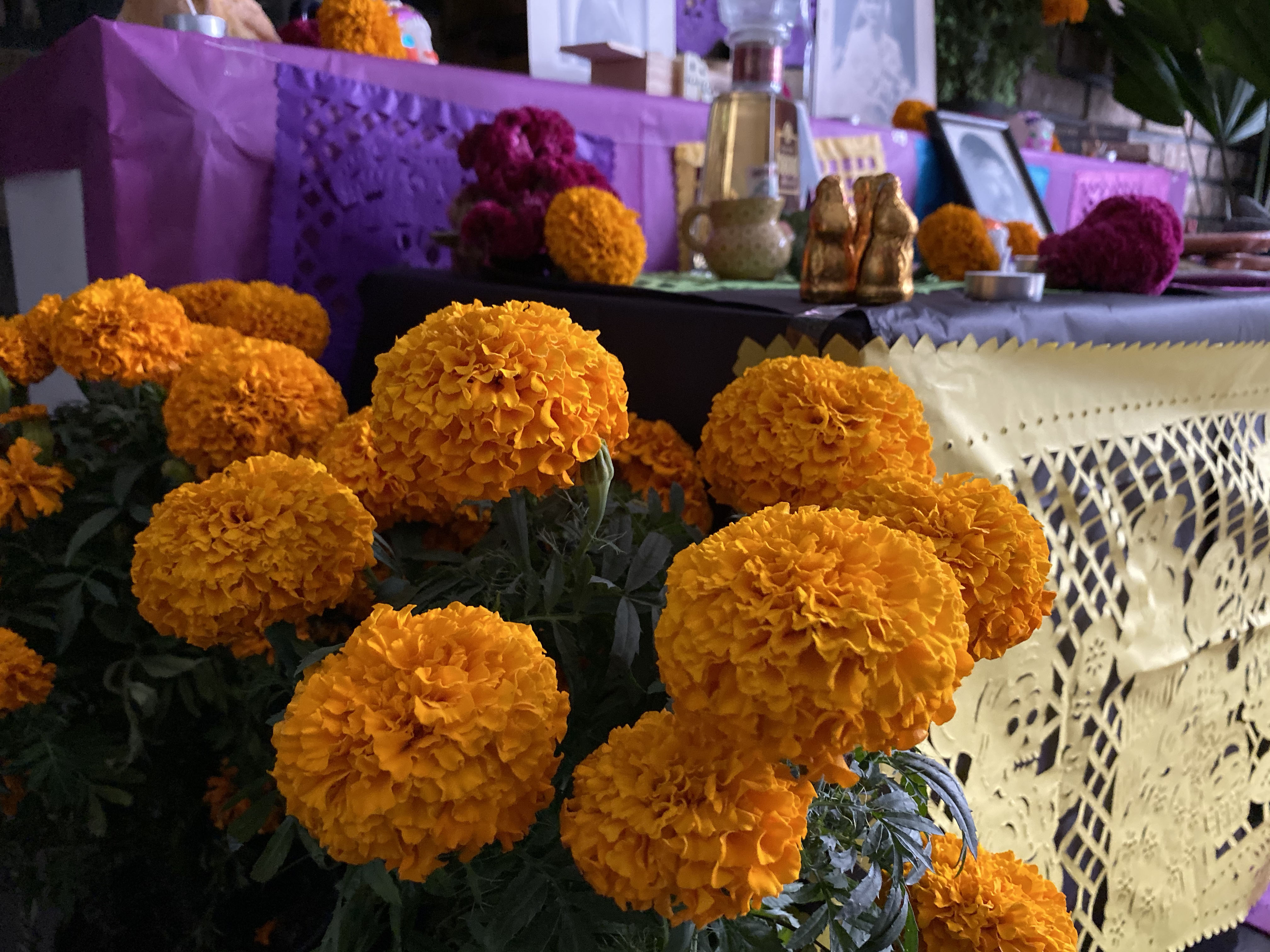 How To Make A Day Of The Dead Ofrenda Hidden Corners Day Of The