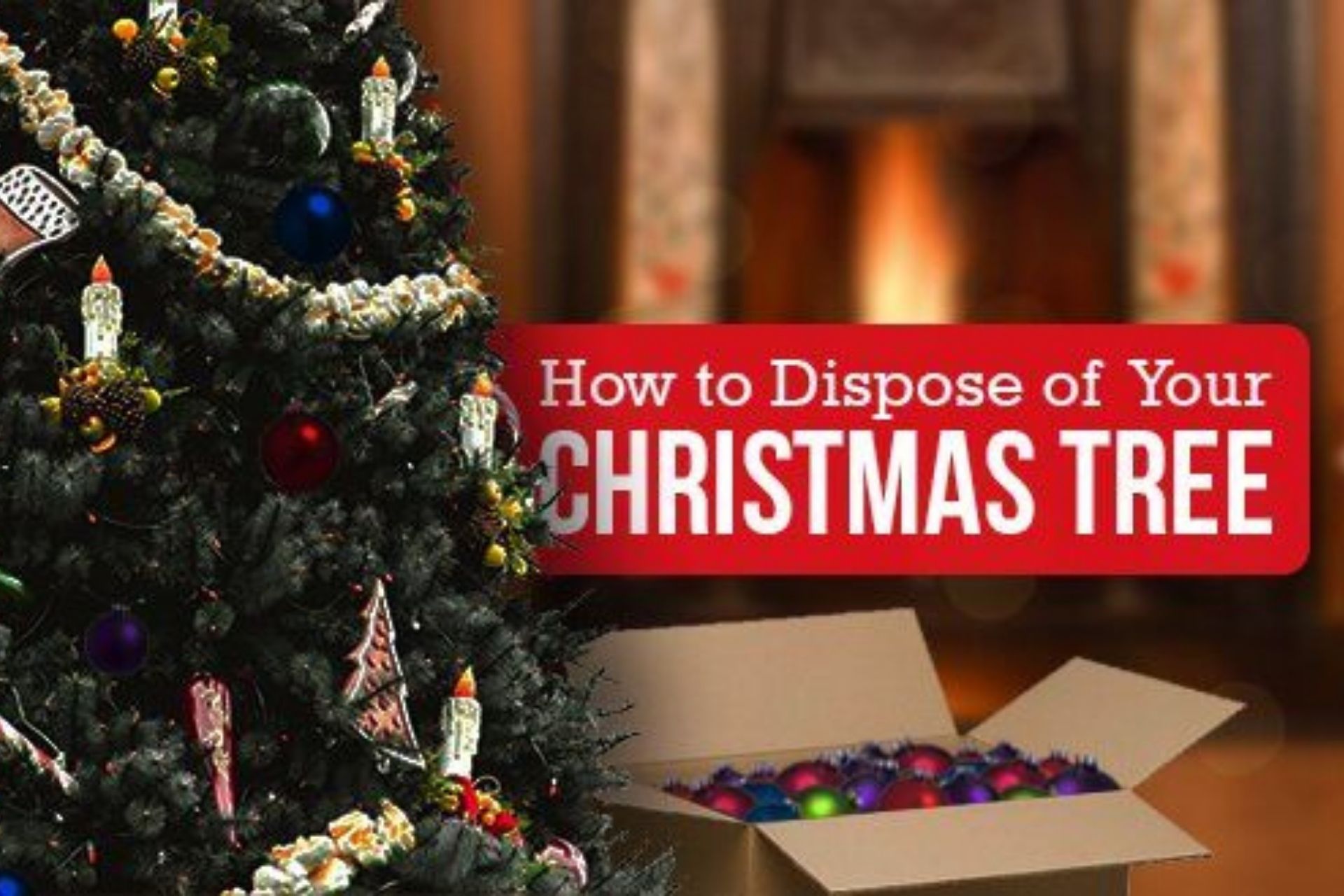 How To Properly Dispose Of A Christmas Tree Plus How To Clean