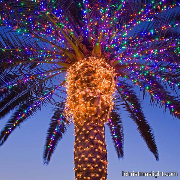 How To Wrap Palm Trees With Christmas Lights Decoratingspecial Com