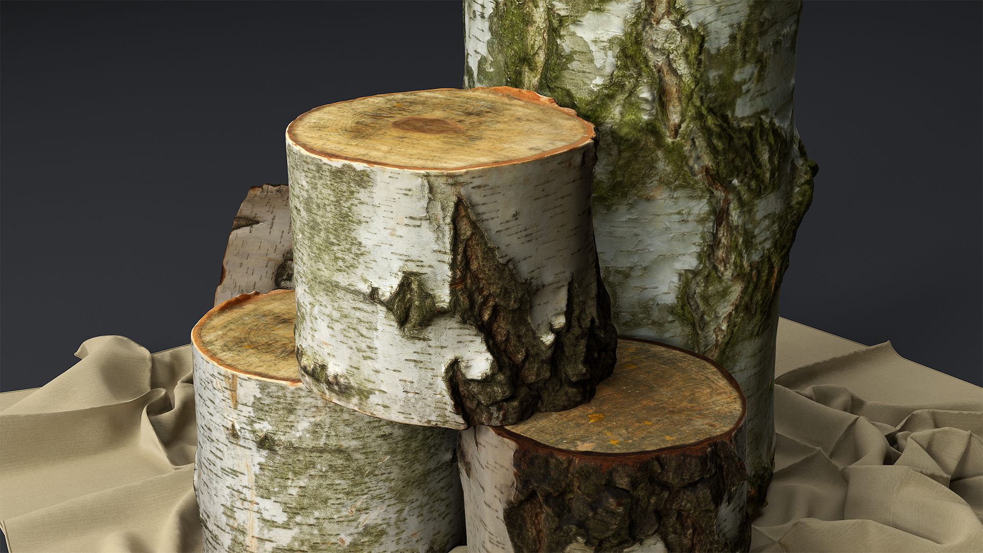 Inspirations Decorative Birch Logs For Your Fireplaces Birch