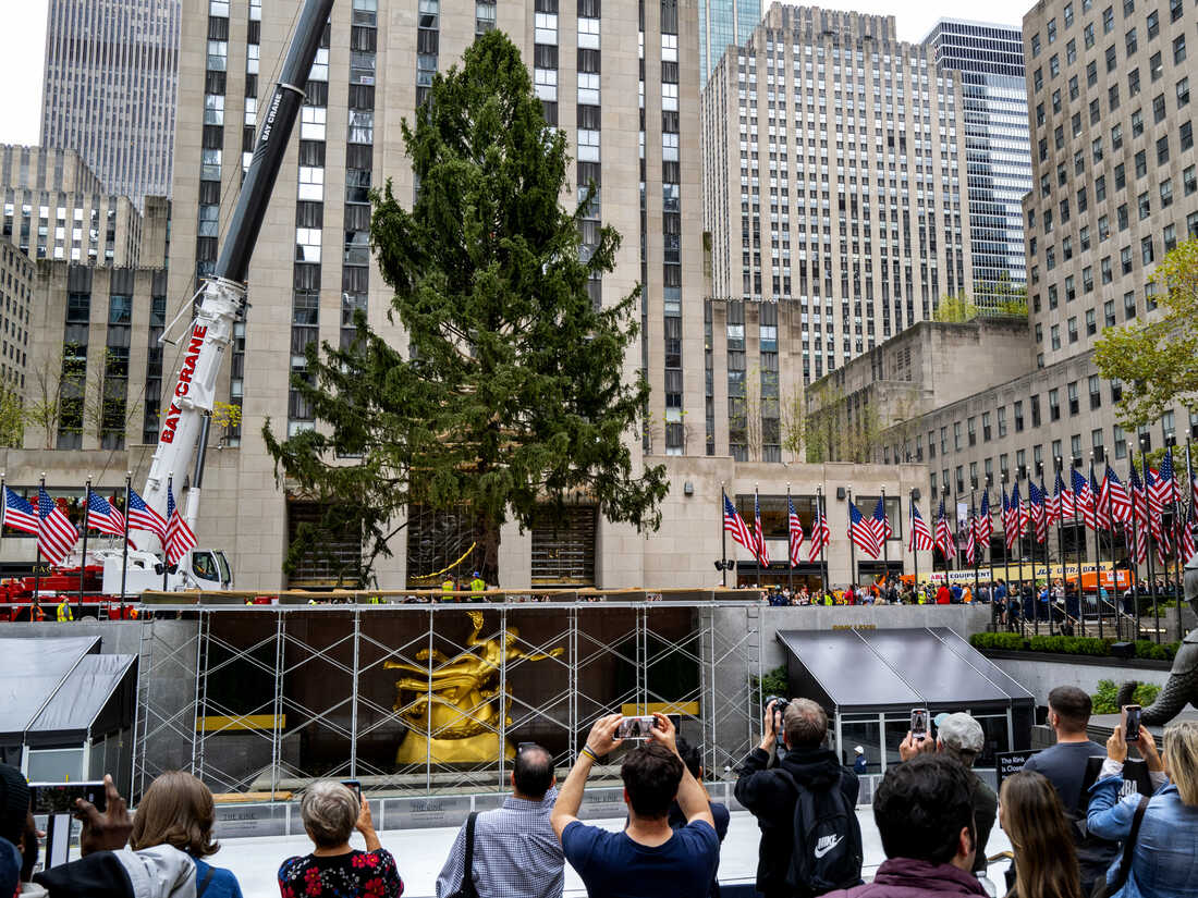 It S Lit The Rockefeller Center Christmas Tree In All Her Glory Rockefeller Center