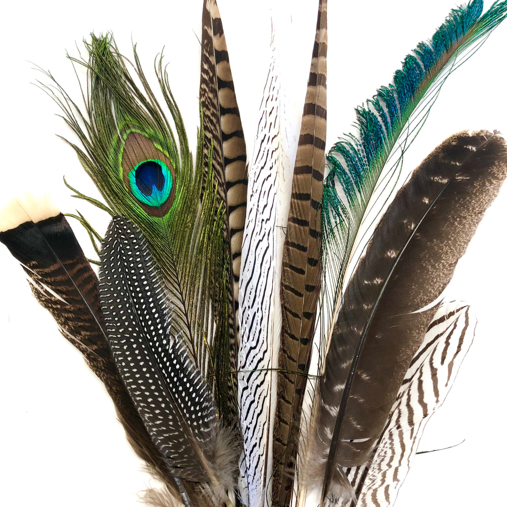 Large Natural Feathers 20 35Cm Mixed Pack X 10 Feather Com Au