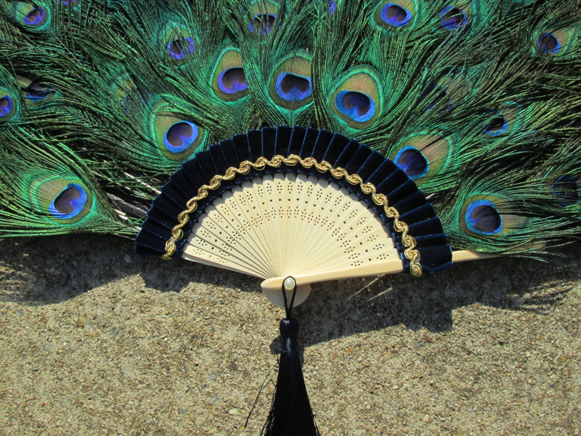 Large Peacock Feather Fan 20 By 36 Inches Made To Order Etsy