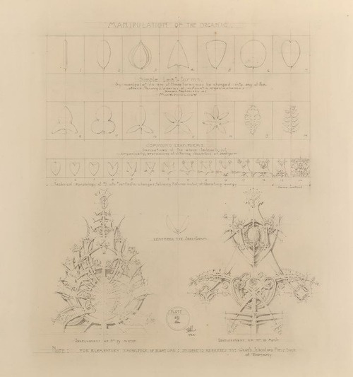 Louis H Sullivan The Organic Prophet A System Of Architectural Ornament By Otnes Fred