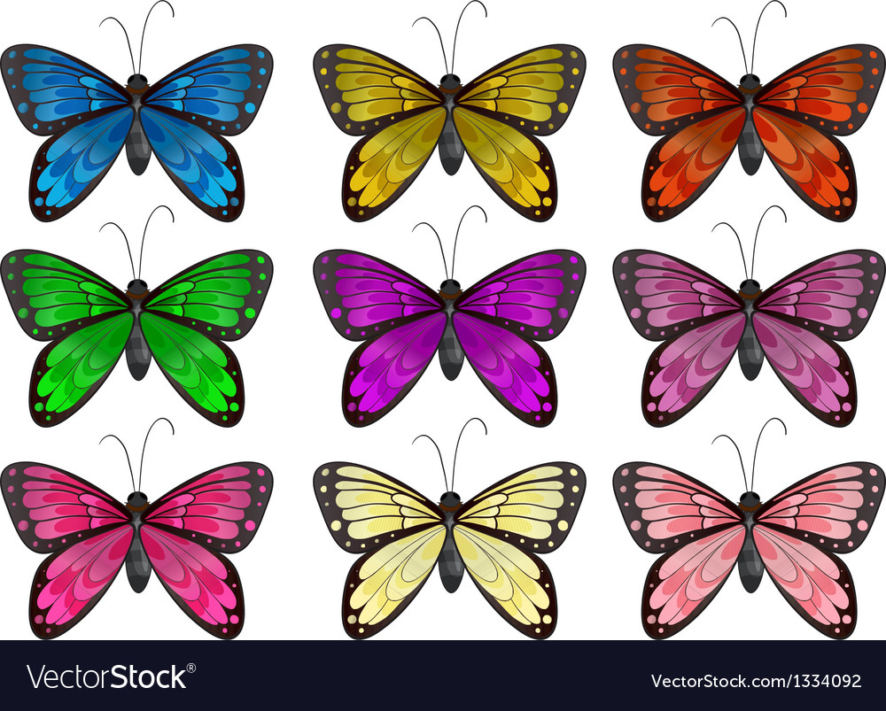 Many Butterflies With Different Colors Monarchfalter Sch Ne K Fer