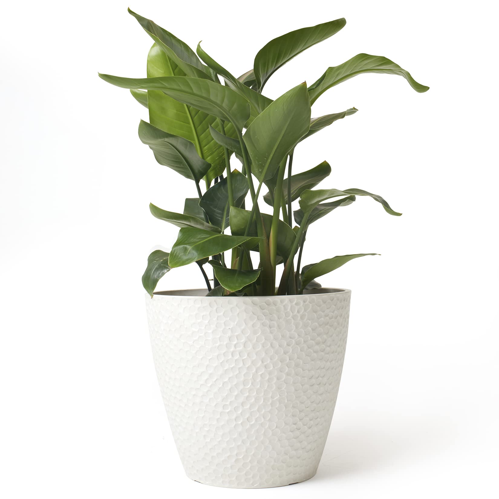 Modern Decoration Ceramic Indoor Plant Pot Flower Pot Home Decoration 2